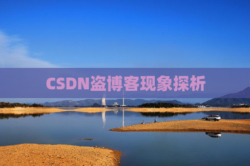 CSDN盗博客现象探析